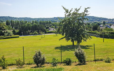 Les Ducs de Normandie: Sky, Blue, Tree, Green, Grass, Nature, Natural Environment, Leaf, Branch, Vegetation