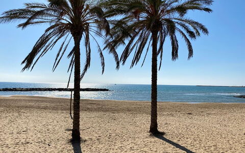 Il Favollo: Blue, Body Of Water, Beach, Coast, Sea, Coastal And Oceanic Landforms, Shore, Sand, Ocean, Tropics