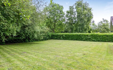 Elif - 200M from the Sea: Green, Grass, Shrub, Grassland, Garden, Land Lot, Lawn, Groundcover, Meadow