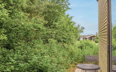 Anabel - 800M from the Sea: Leaf, Vegetation, Branch, Shrub, Plant Community, Twig, Sunlight, Garden, Shade, Backyard
