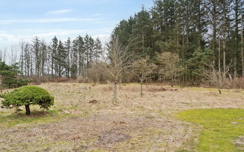 Algeth - 2.5Km from the Sea: Tree, Natural Environment, Natural Landscape, Grassland, Plain, Land Lot, Plant Community, Soil, Pasture