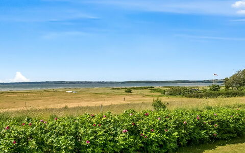 Gustav - 50M from the Sea: Sky, Blue, Green, Cloud, Grassland, Meadow, Plantation, Field, Prairie