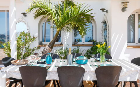 Lotus: Furniture, Table, Interior Design, Chair, Kitchen & Dining Room Table, Dining Room, Flowerpot, Home, Restaurant, Houseplant