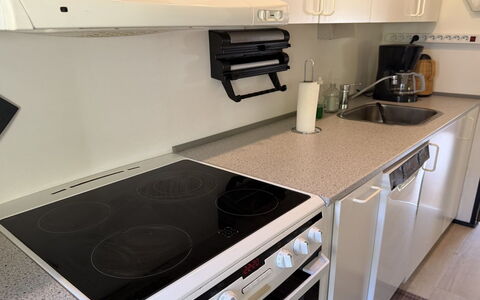 Into - 490M from the Sea: Kitchen Appliance, Major Appliance, Kitchen, Kitchen Stove, Stove, Gas Stove, Countertop, Home Appliance, Cooktop, Flooring