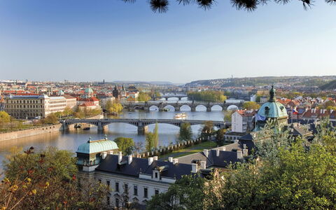 Soukenická: Bridge, Tree, City, Arch Bridge, Waterway, Architecture, Aqueduct, Bank, Viaduct, Concrete Bridge
