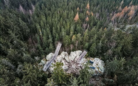 Rokytnice Nad Jizerou 2: Forest, Larch, Tropical And Subtropical Coniferous Forests, Jungle, Evergreen, Woodland