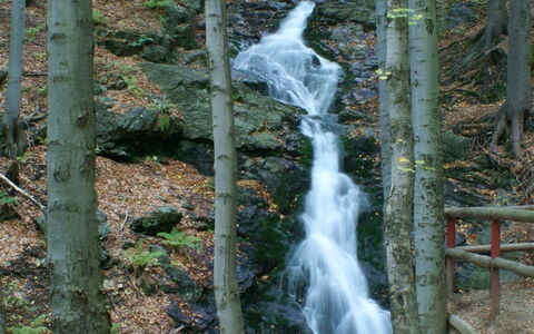 Rokytnice Nad Jizerou 2: Water Resources, Water, Body Of Water, Nature, Leaf, Natural Environment, Natural Landscape, Waterfall, Branch, Vegetation