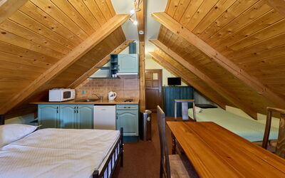 Accommodation:&nbsp;Roky - Dolní Náměstí 2.7