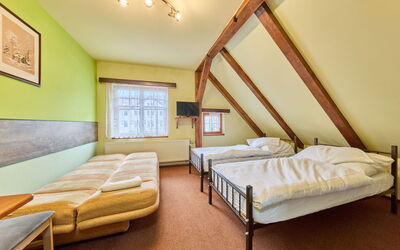 Accommodation:&nbsp;Roky - Dolní Náměstí 2.4