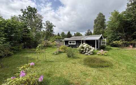 Nis - 1.4Km from the Sea: Grass, House, Shrub, Home, Cottage, Roof, Land Lot, Rural Area, Garden