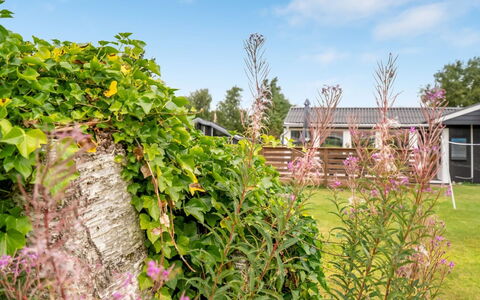 Melisande - from the Sea: Shrub, Garden