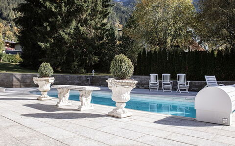 Villa 10: Mountain Range, Alps, Swimming Pool, Water Feature, Flowerpot, Houseplant, Outdoor Furniture