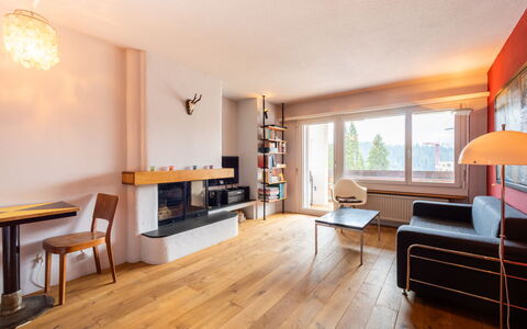 Casa Cannaretsch: Window, Facade, Siding, Cottage, Sash Window, Paint, Larch