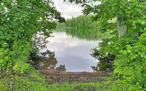Sjöarpstugan: Water, Body Of Water, Nature, Natural Environment, Natural Landscape, Vegetation, Bank, Watercourse, Plant Community