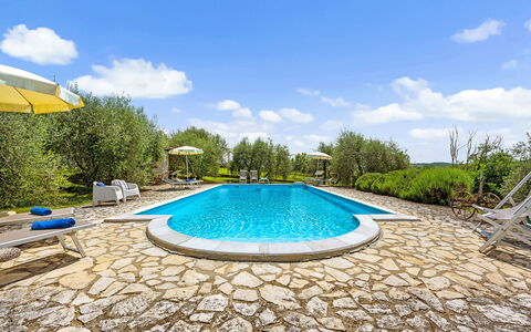 San Sano Retreat, Chianti Vineyard Views & Diving: Blue, Swimming Pool, Resort, Outdoor Furniture, Garden, Eco Hotel, Landscaping, Estate, Shade, Villa