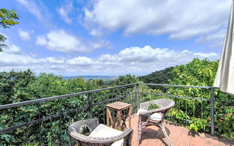 Cuculo: Balcony, Outdoor Furniture, Outdoor Table, Chair, Jungle, Fence, Cumulus, Eco Hotel, Handrail, Deck