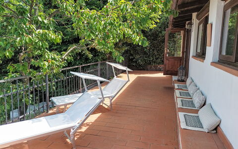 Cuculo: Wood, Furniture, Outdoor Furniture, Shade, Wood Stain, Deck, Outdoor Table, Hardwood, Porch, Chair