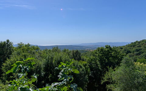 Cuculo: Sky, Blue, Leaf, Daytime, Nature, Green, Natural Environment, Vegetation, Natural Landscape, Ecoregion