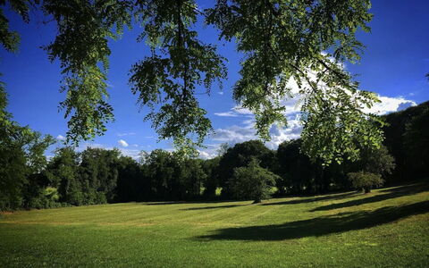 Villa Veneta - Historic Villa in the Prosecco Hill: Blue, Grass, Leaf, Daytime, Green, Nature, Tree, Branch, Natural Environment, Vegetation