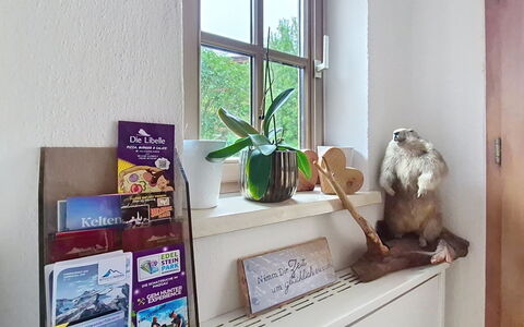 Boutique Appartement Tauernblick: Interior Design, Furniture, Shelving, Room, Shelf, Houseplant, Flowerpot, Picture Frame