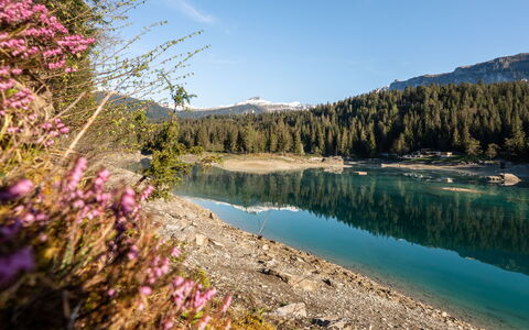 Via Sulten 12: Water, Body Of Water, Water Resources, Nature, Mountain, Bank, Highland, Tarn, Lake, Wilderness