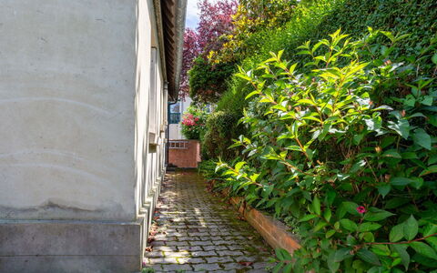 Villerville: Green, Shrub, Spring, Groundcover, Garden, Brick, Walkway, Landscaping, Sidewalk