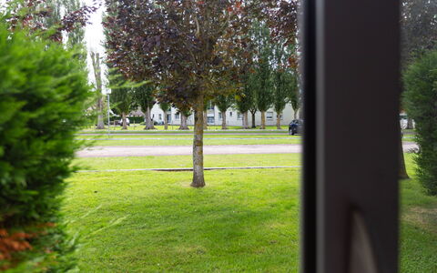 Les Portes de la Mer: Leaf, Lawn, Trunk, Woody Plant, Garden, Shade, Yard, Landscaping, Park, Backyard