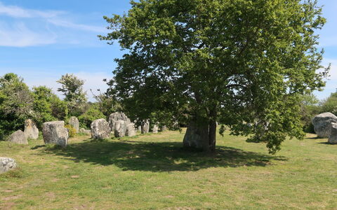 Maison Kergrosse: Grass, Tree, Grassland, Trunk, Woody Plant, Meadow, Pasture, Park