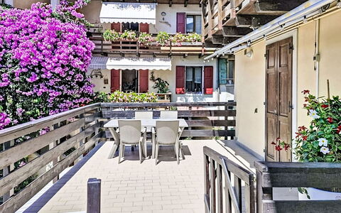 Edera: Flower, Balcony, Floristry, Houseplant, Hotel