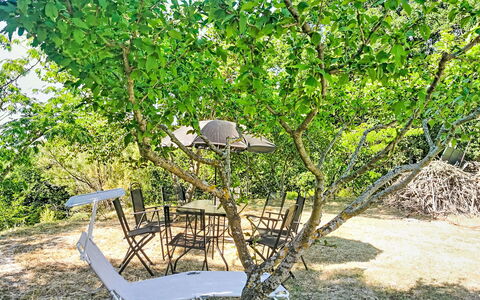 Archi 6: Leaf, Branch, Outdoor Furniture, Spring, Outdoor Table, Woody Plant, Shade, Garden, Twig, Backyard
