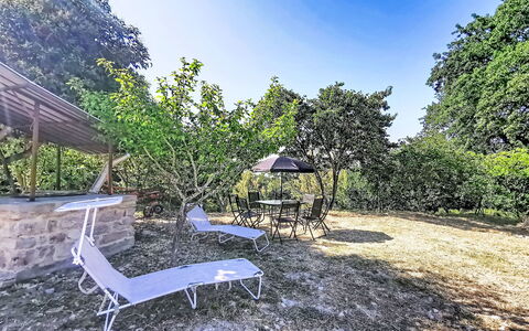 Archi 6: Tree, Shrub, Garden, Shade, Landscaping, Yard, Lawn, Backyard, Park, Driveway