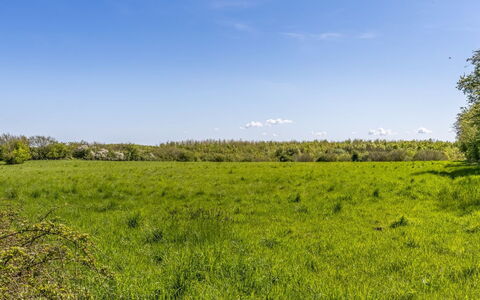 Susianna - 550M from the Sea: Sky, Blue, Green, Daytime, Grass, Grassland, Natural Environment, Vegetation, Natural Landscape, Ecoregion