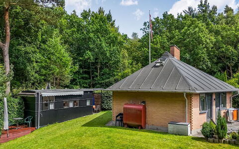 Berenice - 500M from the Sea: Tree, Grass, Roof, Shrub, Cottage, House, Home, Land Lot, Rural Area, Groundcover