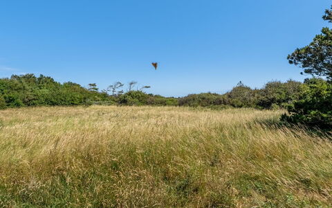 Toska - 800M from the Sea: Blue, Cottage, House, Home, Farmhouse, Estate, Siding