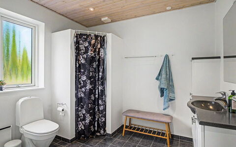 Zelda - 275M from the Sea: Flooring, Plumbing Fixture, Wood, Floor, Bathroom, Interior Design, Plumbing, Toilet, Toilet Seat, Sink