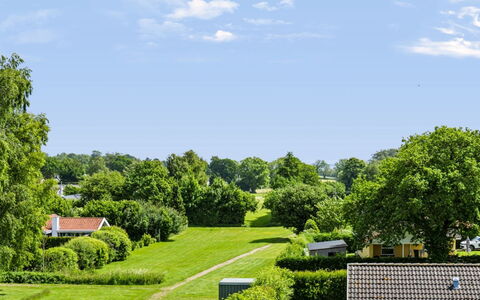 Hélène - 1.1Km from the Sea: Green, Tree, Grass, Nature, Landscape, Shrub, Grassland, Land Lot, Residential Area