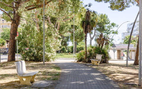 Casabianca: Tree, Branch, Public Space, Shade, Trunk, Woody Plant, Outdoor Bench, Bench, Sidewalk