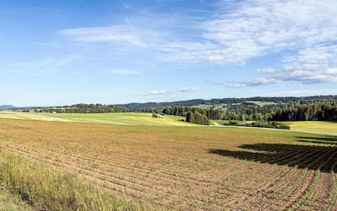 Löffingen 200: Resort, Estate, Hacienda, Balcony, Resort Town, Swimming Pool, Hotel, Seaside Resort, Landscaping
