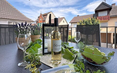 Endingen am Kaiserstuhl 100: Bottle, Glass Bottle, Barware, Wine, Wine Bottle, Stemware, Houseplant, Wine Glass