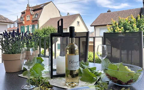 Endingen am Kaiserstuhl 100: Bottle, Glass Bottle, Glass, Flowerpot, Wine Bottle, Houseplant, Wine