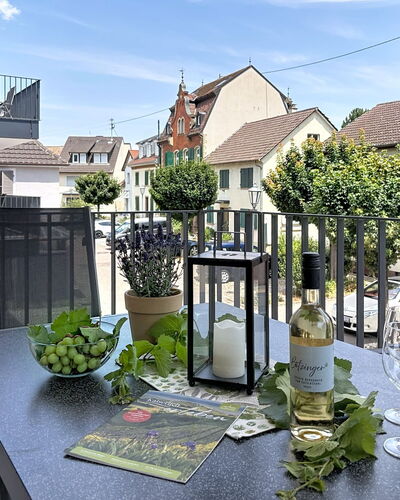 Endingen am Kaiserstuhl 100: Balcony, Flowerpot, Home, Urban Design, Apartment, Houseplant, Porch, Chair, Handrail, Fence
