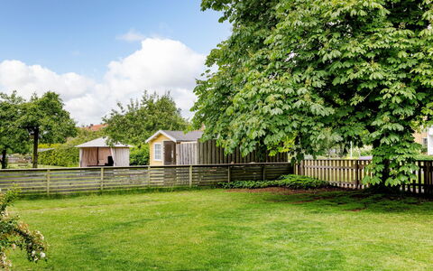 Odal: Grass, Shrub, Garden, Lawn, Groundcover, Shade, Backyard, Yard, Garden Buildings, Park