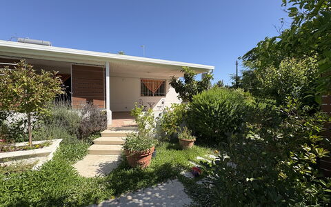 La Dimora di Artemide: House, Residential Area, Shrub, Home, Garden, Groundcover, Shade, Yard, Estate