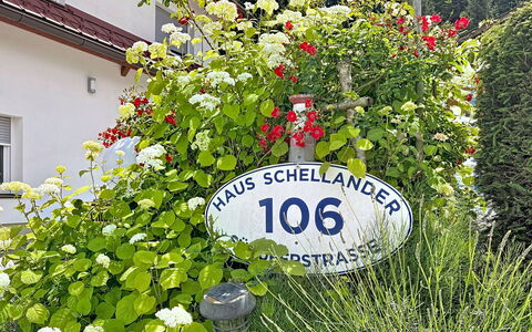 Velden am Wörthersee 39: Flower, Shrub, Garden, Spring, Yard, Landscaping, Rose Family