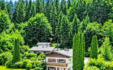 Velden am Wörthersee 39: Tree, Shrub, Forest, Home, Garden, Cottage, Larch, Hill Station, Landscaping