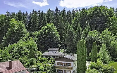 Velden am Wörthersee 39: Tree, House, Shrub, Home, Cottage, Roof, Larch, Forest, Garden, Estate