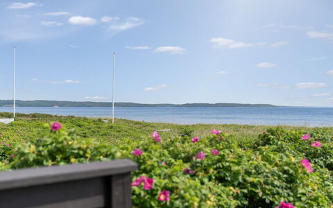 Wiebke - 50M from the Sea: Sky, Blue, Body Of Water, Green, Horizon, Coast, Coastal And Oceanic Landforms, Sea, Ocean, Cloud