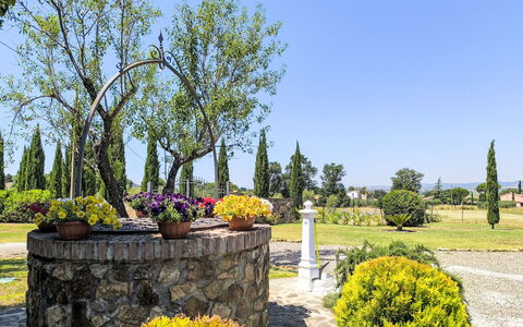 Scarlino 35: Tree, Leaf, Shrub, Landscape, Garden, Spring, Woody Plant, Landscaping, Botanical Garden