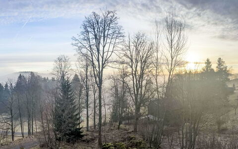 Auszeit für Körper und Seele: Sky, Branch, Tree, Nature, Natural Environment, Leaf, Atmospheric Phenomenon, Natural Landscape, Twig, Wilderness