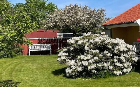 Sunaj - 350M from the Sea: Flower, Shrub, Garden, Groundcover, Spring, Flowering Plant, Landscaping, Lawn, Yard, Backyard